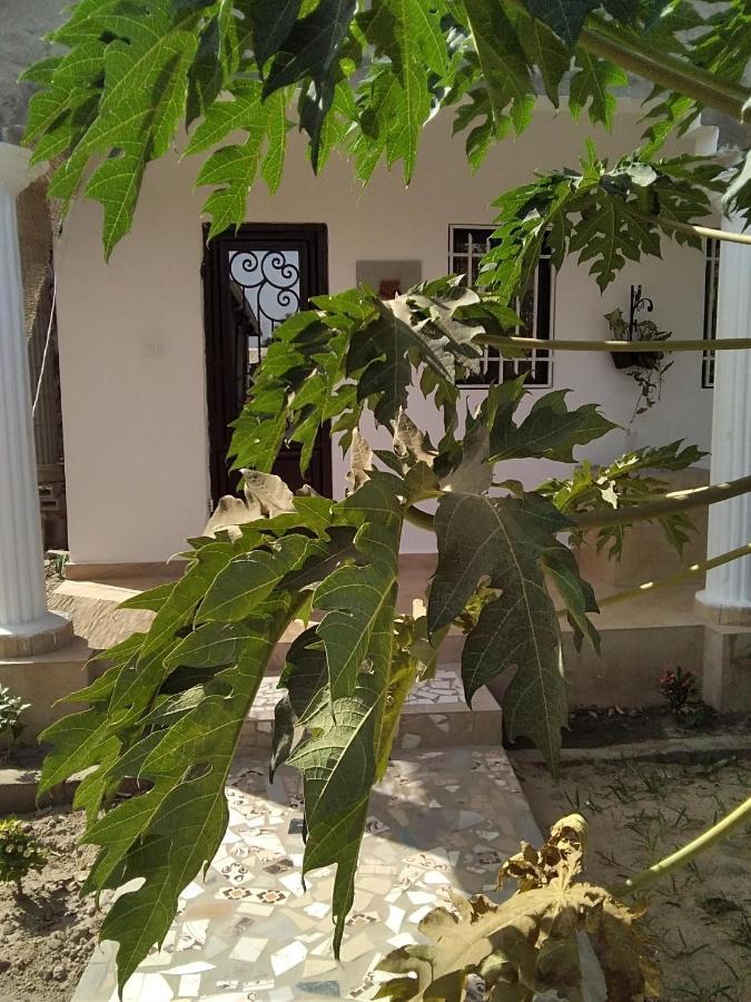 Unique Owl Apartments Sanyang Ngoại thất bức ảnh